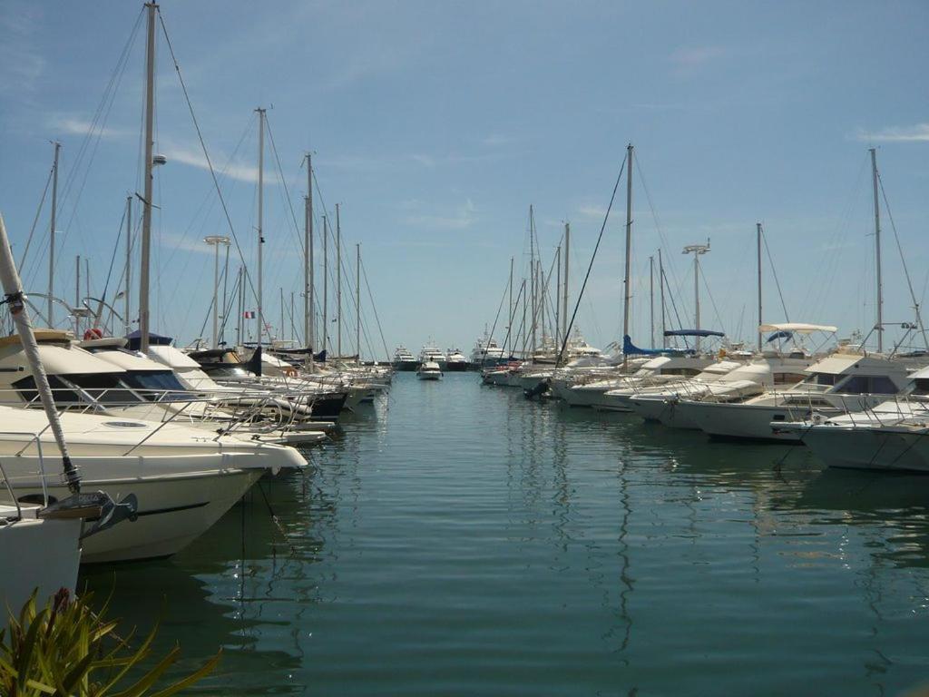 Charmant 2P Vue Mer Face Au Port De Golfe Juan Exteriör bild
